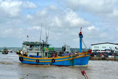 Tàu thuyền ngư dân tại khu vực Cảng cá Phan Thiết