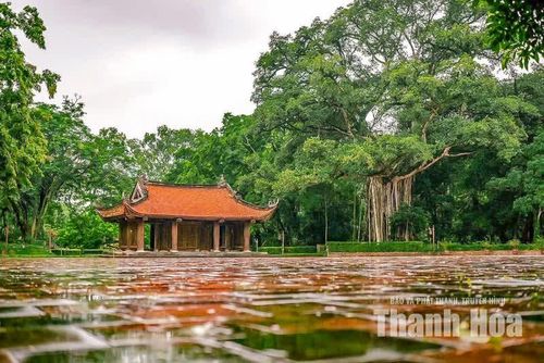 Theo hướng dẫn viên Lê Thị Thức, tương truyền trong một lần chim ăn quả rồi bay đi, một hạt đa theo chim rơi xuống thân cây thị và nảy mầm. Từ mầm cây nhỏ ấy, cây đa dần lớn lên trên thân cây thị.