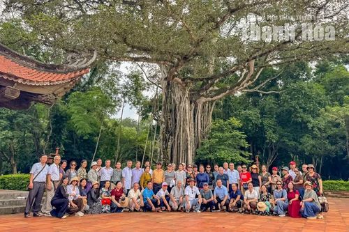 Theo chị Thức, nhiều du khách liên tưởng nhánh thị mới mọc như dấu hiệu cây vẫn tiếp tục sinh trưởng qua thời gian. Khi đến Lam Kinh, du khách thường dừng bên cây để quan sát bộ rễ, chụp ảnh và nghe kể câu chuyện dân gian về cái tên “đa - thị”. Với hướng dẫn viên, cây cổ thụ có hình dáng độc đáo trở thành điểm nhấn tự nhiên, giúp hành trình khám phá Lam Kinh thêm gần gũi, bên cạnh những câu chuyện về triều hậu Lê, lăng mộ và điện miếu.