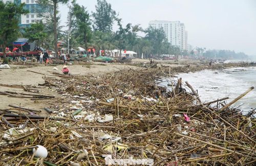 Rác, cành cây ngổn ngang khiến bãi biển như "bãi chông".