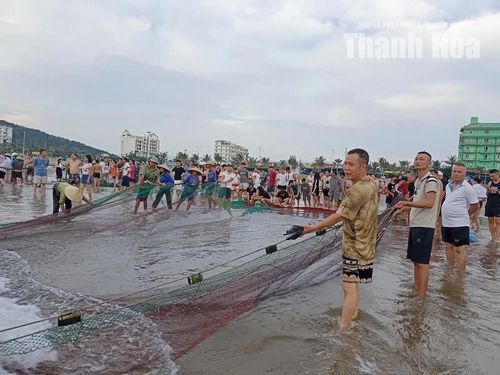 Du khách tham gia kéo rùng cùng ngư dân.