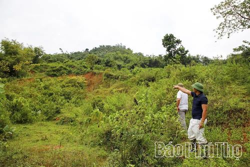 Lực lượng chức năng đánh giá nguy cơ sạt lở tại đồi Vòng thôn Trung Sơn xã Liên Sơn.