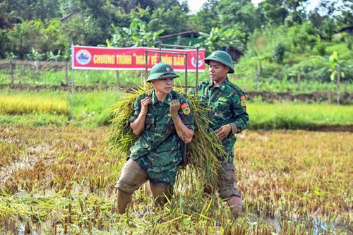 Cán bộ, chiến sĩ Đồn Biên phòng Cửa khẩu A Đớt giúp người dân vận chuyển lúa về nhà