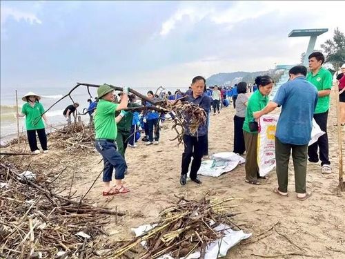 Ước tính có khoảng 6.000m3 rác, củi theo mưa lũ dạt vào bãi biển Sầm Sơn. Ảnh: TTXVN phát