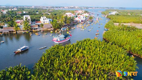Rừng dừa Bảy Mẫu giúp cải thiện sinh kế, ứng phó biến đổi khí hậu cho người dân địa phương. Ảnh: QUỐC TUẤN