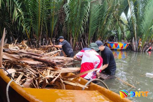Hoạt động thu gom rác thải, dừa khô được triển khai thường xuyên để bảo đảm cảnh quan, môi trường sinh thái tại rừng dừa Bảy Mẫu. Ảnh: KHÔI NGUYÊN