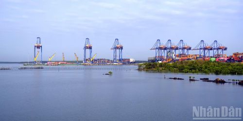 Cảng biển và kho bãi container ở Cái Mép-Thị Vải (Ảnh: Lê Đình Thìn).