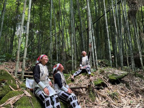 Khí hậu trong lành, mát mẻ quanh năm cùng cảnh sắc thơ mộng khiến rừng vầu Ngải Chồ trở thành điểm dừng chân tránh nóng và chụp ảnh lý tưởng cho người dân địa phương và du khách.