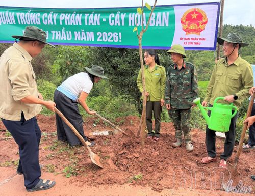 Cán bộ và nhân dân các dân tộc xã Sín Thầu tích cực tham gia trồng cây.