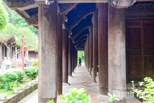 Hệ thống cột cái có đường kính lên đến 62 cm tạo nên một Lam Kinh uy nghi, trầm mặc.