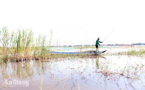 Trải nghiệm và tìm hiểu nhịp sống mưu sinh của người dân miền Tây mùa nước nổi.