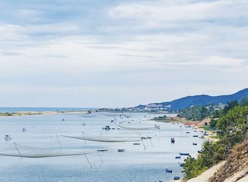 Những chiếc rớ mưu sinh của cư dân trên sông Lại tạo nên bức tranh quê hương đẹp đến nao lòng. Ảnh: N.Q