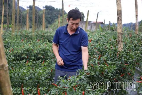 Gia đình anh Sùng A Dông phấn khởi khi những đoạn đường mới được mở, nông sản của gia đình tiêu thụ thuận lợi và được giá hơn.