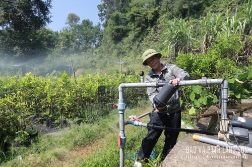 Hệ thống tưới tự động được ứng dụng tại Công ty TNHH mắc ca Lục Bằng 