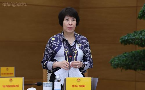 Thứ trưởng Bộ Tài chính Nguyễn Thị Bích Ngọc phát biểu tại cuộc họp. Ảnh: chinhphu.vn