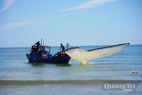 Tàu của ngư dân Bảo Ninh đang đánh bắt ruốc trên biển - Ảnh: P.P