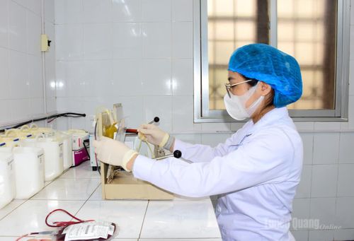 Kỹ thuật viên, khoa Huyết học - Truyền máu, Bệnh viện Đa khoa tỉnh thực hiện kỹ thuật sản xuất chế phẩm khối hồng cầu, huyết tương tươi đông lạnh theo tiêu chuẩn chất lượng.