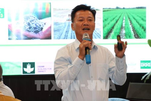 Ông Nguyễn Văn Hiếu, giảng viên Đại học Tiền Giang cập nhật kiến thức canh tác lúa chất lượng cao, phát thải thấp. Ảnh: Thanh Hòa - TTXVN