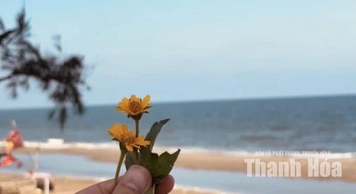 Ai đã từng đến Tiên Trang vào một buổi chiều sóng êm, gió lặng hẳn sẽ nhớ mãi khoảnh khắc ngày chậm rãi khép lại trong những cảm xúc yên bình, thấy lòng mình nhẹ tênh trước biển trời mênh mang.