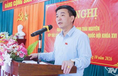 Đồng chí Hà Sỹ Huân, Phó Trưởng đoàn chuyên trách Đoàn ĐBQH tỉnh trao đổi tại Hội nghị.