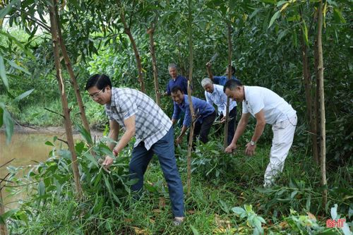 Nguồn quỹ từ trồng cây keo tràm giúp hội trai làng Bình Bắc duy trì hoạt động, hỗ trợ các gia đình khó khăn và chung tay vào những việc chung của thôn, của xã.