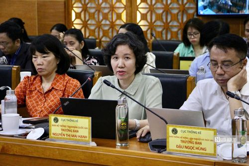 Bà Nguyễn Thị Mai Hạnh - Trưởng ban Hệ thống tài khoản quốc gia (Ảnh: Việt Anh).