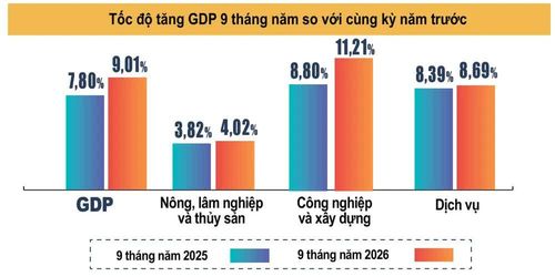 Tăng trưởng kinh tế 9 tháng đầu năm 2026 so với cùng kỳ năm 2025. Ảnh: Cục Thống kê