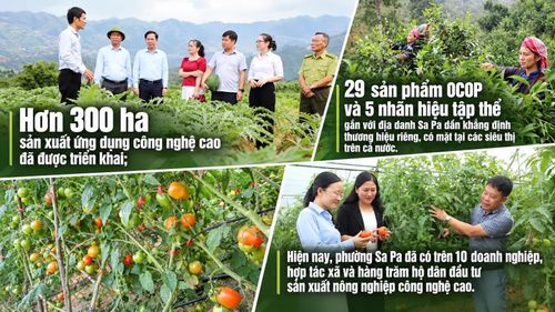 Ảnh nguồn Báo và Phát thanh, Truyền hình Lào Cai.
