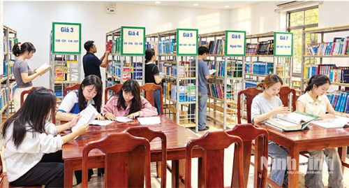 Sinh viên Trường Đại học Điều dưỡng Nam Định lựa chọn thư viện để tìm hiểu, mở rộng kiến thức.