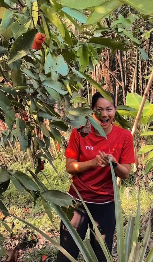 Ngoài sầu riêng, vườn nhà Ánh Viên còn có nhiều loại cây ăn quả khác (Ảnh: TTNV)