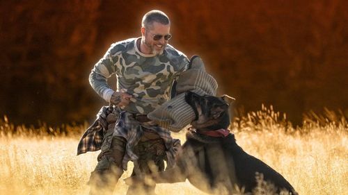 Brad Pitt và Uber là nhân vật trung tâm trong Heart of the Beast.