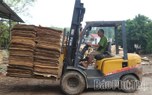Sau đó được vận chuyển đến khu vực phơi ván ép.