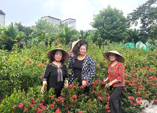 Hội viên phụ nữ Tổ dân phố 2, phường Gia Sàng bên vườn hoa khoe sắc do các chị em tự tay chăm sóc.