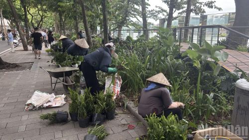 Với thời gian tồn tại chỉ trong khoảng hai tháng, “Dải lụa ký ức” được xác định là một không gian nghệ thuật tạm thời. Sau khi kết thúc chương trình, khu vực sẽ được hoàn trả, trong khi những trải nghiệm và góc nhìn mới về Hồ Gươm được kỳ vọng trở thành một phần ký ức của người dân, du khách về Hà Nội trong dịp kỷ niệm Ngày Giải phóng Thủ đô năm nay.