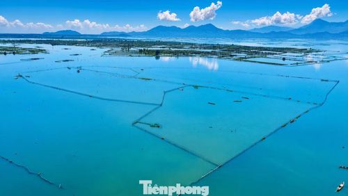 Tại một trong những địa bàn có diện tích mặt nước đầm phá lớn của TP. Huế, xã Phú Vang đang đối mặt tình trạng nò sáo, vây ví phát triển dày đặc. Hàng chục nghìn cọc tre, thanh gỗ giăng cắm trên mặt nước khiến không gian đầm phá bị chia cắt, ảnh hưởng dòng chảy, luồng lạch giao thông và môi trường sinh thái.