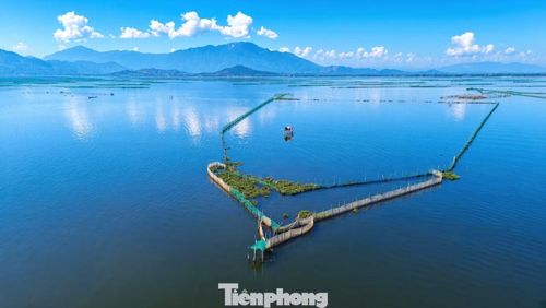 Sau khi giải tỏa phần mặt nước sử dụng trái phép, xã Phú Vang dự kiến sắp xếp lại 43 trộ nò sáo theo đúng vị trí quy hoạch, hoàn thành trước ngày 15/10. Việc này nhằm xác lập rõ ranh giới, vị trí khai thác và tạo điều kiện để người dân duy trì sinh kế đúng quy định.