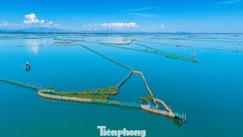 Theo thống kê của UBND xã Phú Vang, trên địa bàn có 96 hộ dân sử dụng vây ví, rọ sáo, mục hồ, ao lăng, chân mương… lấn chiếm mặt nước. Đến nay 10 hộ đã tự nguyện tháo dỡ, 86 hộ đang trong giai đoạn thực hiện giải tỏa nò sáo.