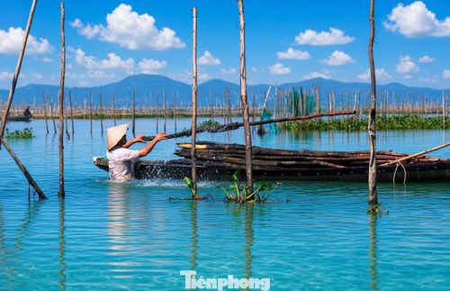 Từ đầu tháng 9, UBND xã Phú Vang bắt đầu mạnh tay “giải vây” mặt nước đầm phá, yêu cầu các hộ dân tự tháo dỡ công trình lấn chiếm. Sau thời hạn quy định, những trường hợp không chấp hành sẽ bị kiểm tra, xử phạt và cưỡng chế tháo dỡ.