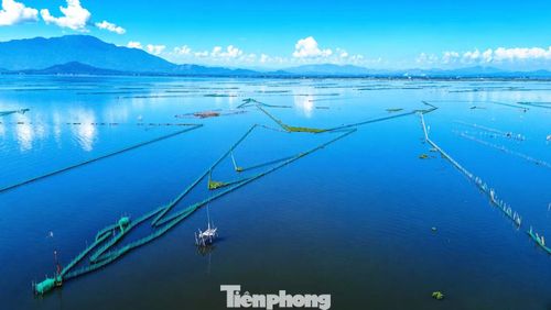 Việc định vị, cắm mốc và bàn giao vị trí khai thác thủy sản cũng được tiến hành, nhằm xác lập ranh giới rõ ràng, giúp ngư dân ổn định sinh kế và tạo cơ sở để chính quyền quản lý mặt nước đầm phá.