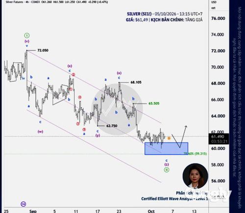 Theo nguồn phân tích: Elliott Wave by Shane - Nguồn dữ liệu: Trading View.