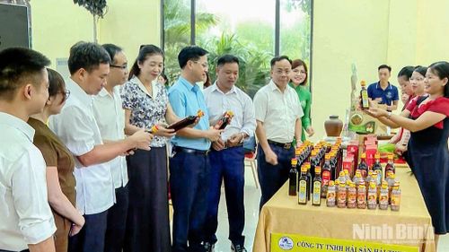 Các hội chợ, triển lãm là cơ hội để quảng bá các sản phẩm OCOP đến thị trường rộng lớn hơn.