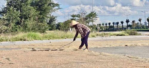Sau khi phơi khoảng 2–3 tiếng, ruốc được đảo đều để nhanh khô và khô đều hơn.