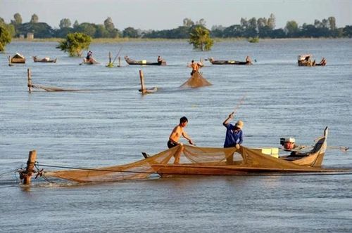 Ngư dân đầu nguồn sông Hậu giăng đáy bắt cá linh mùa lũ