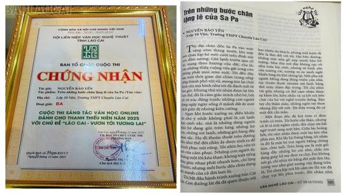 Bảo Yến đoạt giải Ba cuộc thi sáng tác văn học online dành cho thanh thiếu niên năm 2025 với tác phẩm “Trên những bước chân lặng lẽ của Sa Pa”.