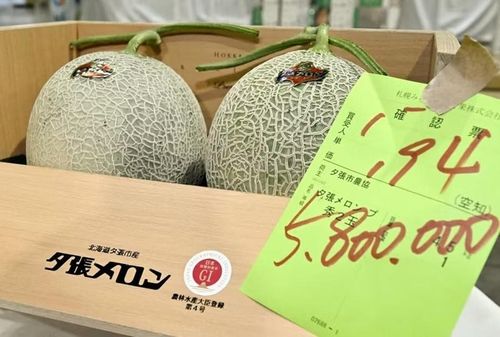 Cặp dưa lưới có giá kỷ lục 5,8 triệu Yên. (Ảnh: Kyodo)