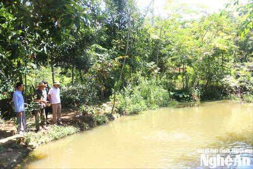 Bí thư chi bộ Lộc Văn Lâm gương mẫu đi đầu trong phát triển kinh tế. Ảnh: K.L