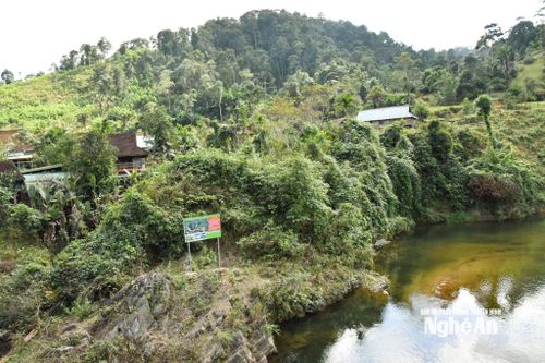 Ngay trên cầu vào bản Cươm là quy ước bảo vệ cá mát được in, phóng to và cắm ở vị trí dễ quan sát. Ảnh: Thanh Phúc