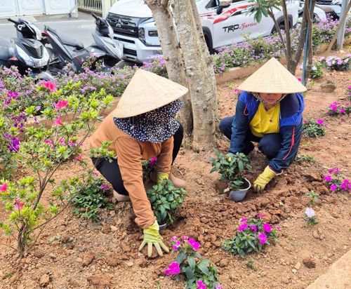 Góp thêm sắc hoa