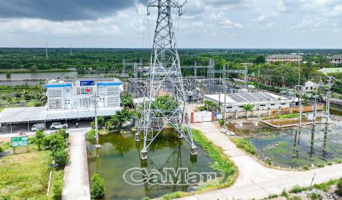 Điện lực Năm Căn (trụ sở tại ấp Hàng Vịnh, xã Năm Căn) đang quản lý, cung cấp điện cho địa bàn 3 xã: Năm Căn, Đất Mới và Tam Giang.