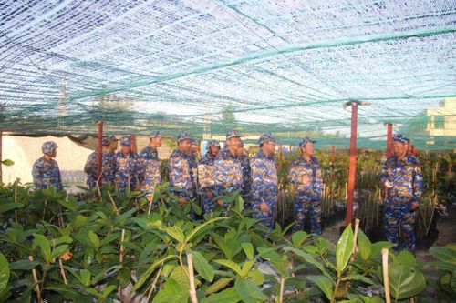 Vườn ươm cây trên đảo Nam Yết. (Ảnh: THÀNH VŨ)